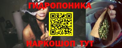 круглые Будённовск