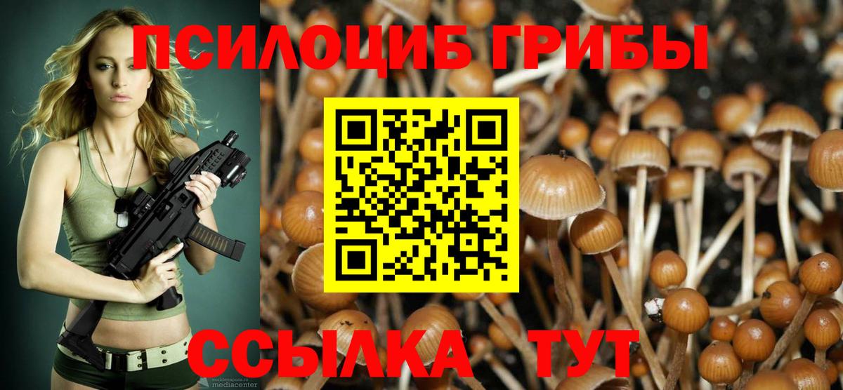 Галлюциногенные грибы MAGIC MUSHROOMS Сарапул